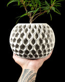 Hexa Pflanzentopf