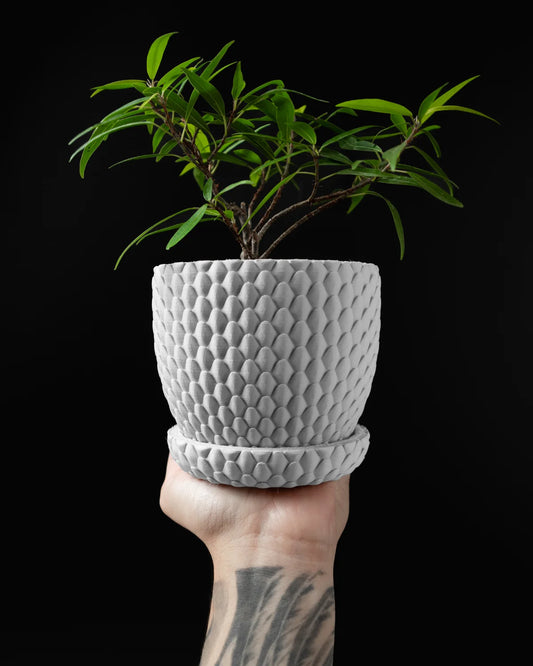 Dragonscale Pflanzentopf